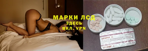 твердый Абаза