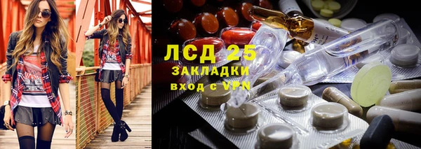 твердый Абаза