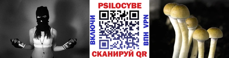 где продают   Сычёвка  Галлюциногенные грибы Psilocybine cubensis 